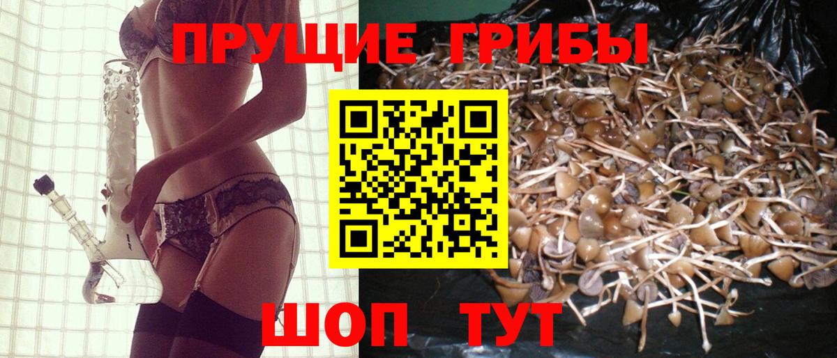 Галлюциногенные грибы MAGIC MUSHROOMS Сургут
